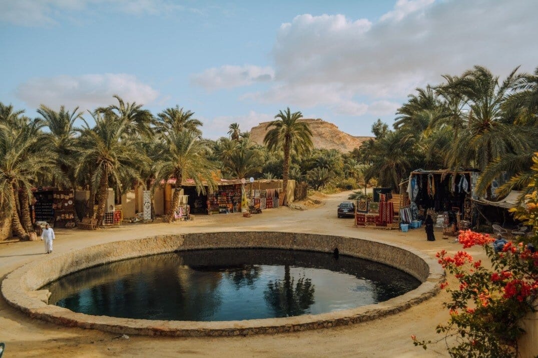 siwa-oasis_13477