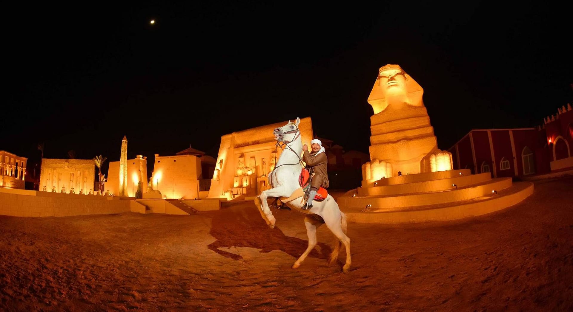 Horse Desert Show