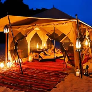 Bedouin Safari and Star Gazing Day Tour