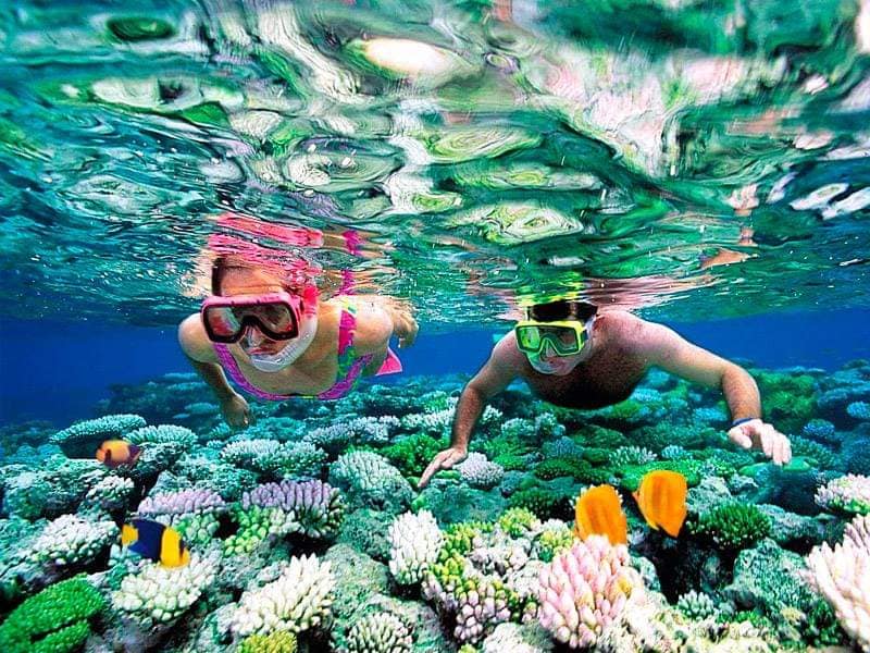 Red sea