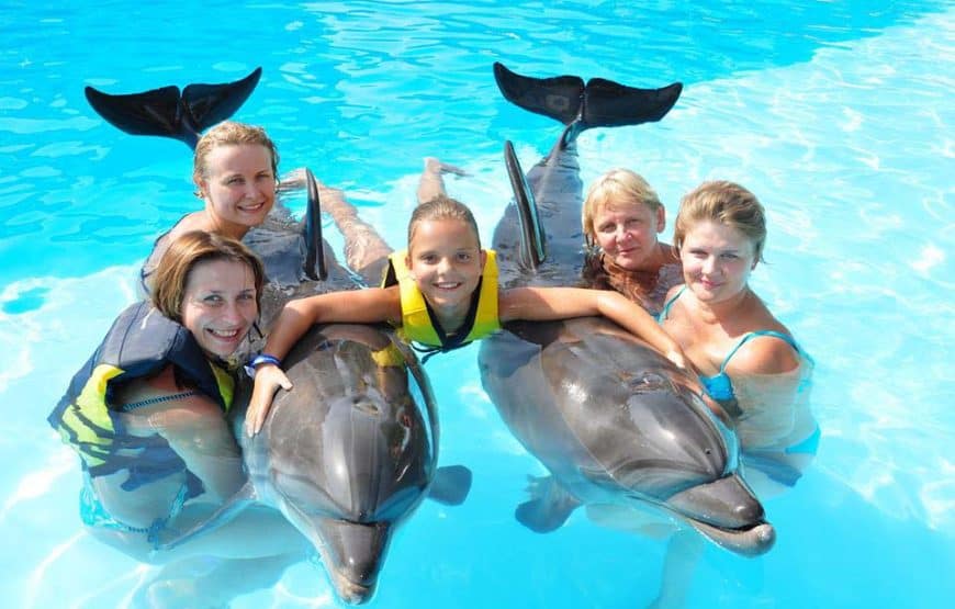 Dolphin adventures in Sharm El Sheikh